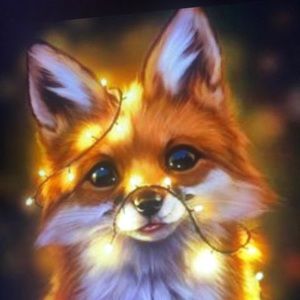 Meet your Posher, Mitchell